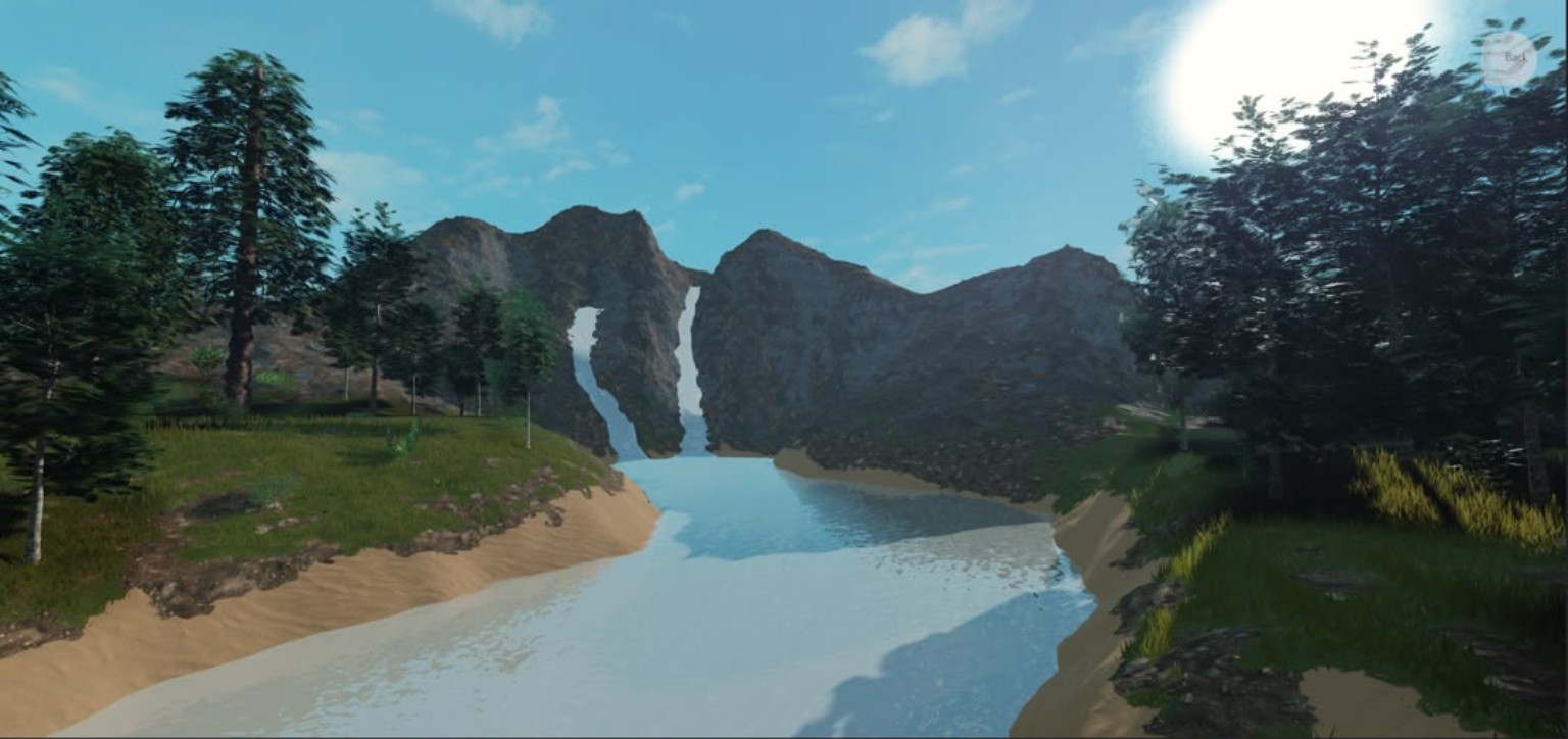 Forest roads and vegetation