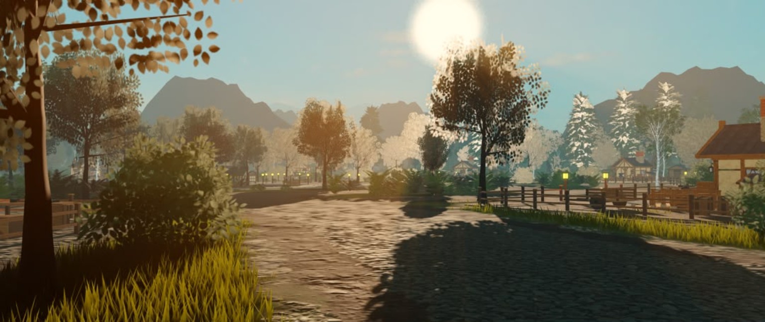 Forest road overlooking water